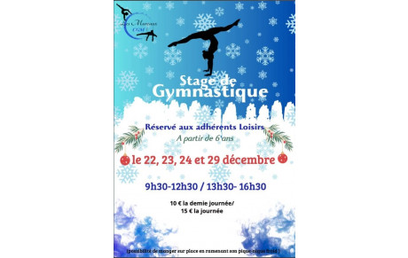 Stage Décembre 2025